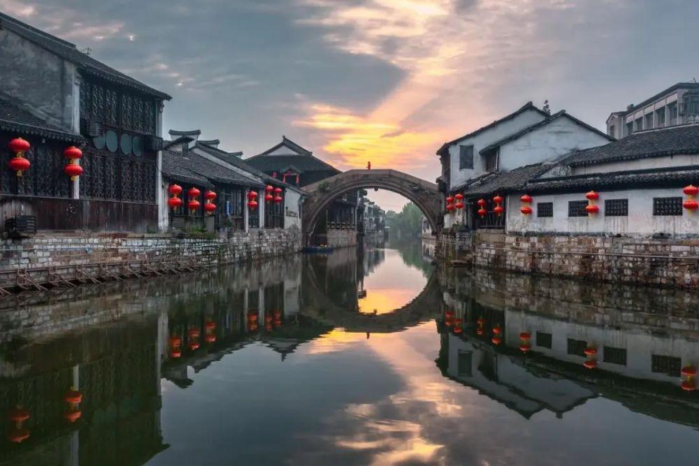 逃离橡子树种植地